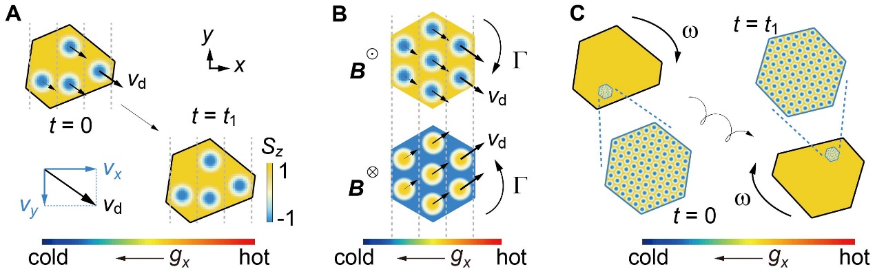 物质学院拓扑物理实验室张石磊课题组在磁斯格明子晶格动力学的实验观测上取得进展